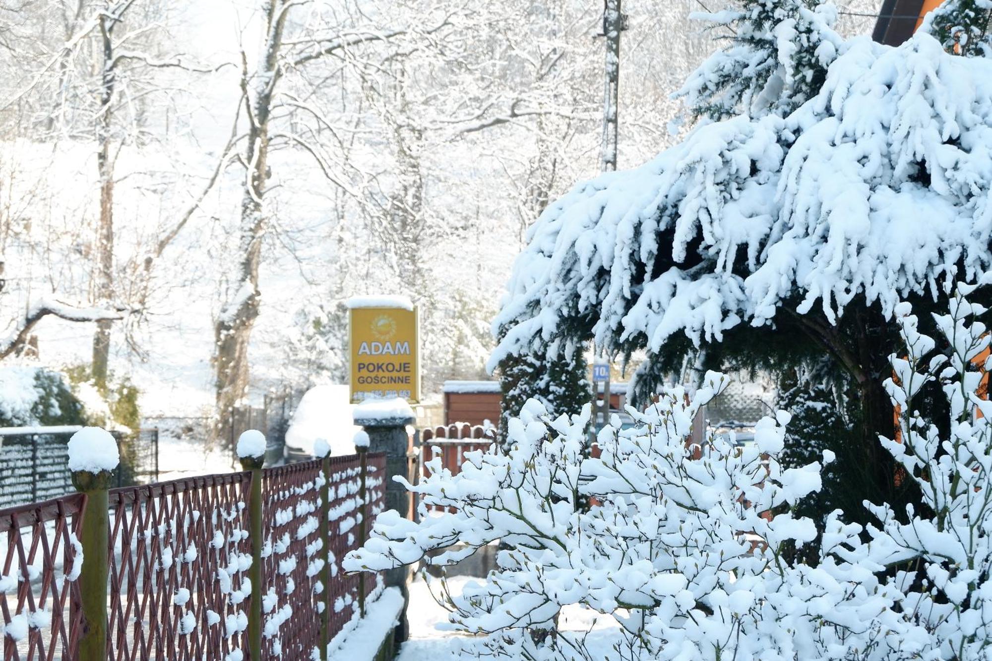 Pokoje Goscinne "Adam" Ustroń Exterior foto